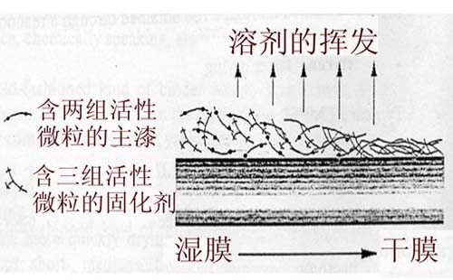 双组份油漆的成膜过程